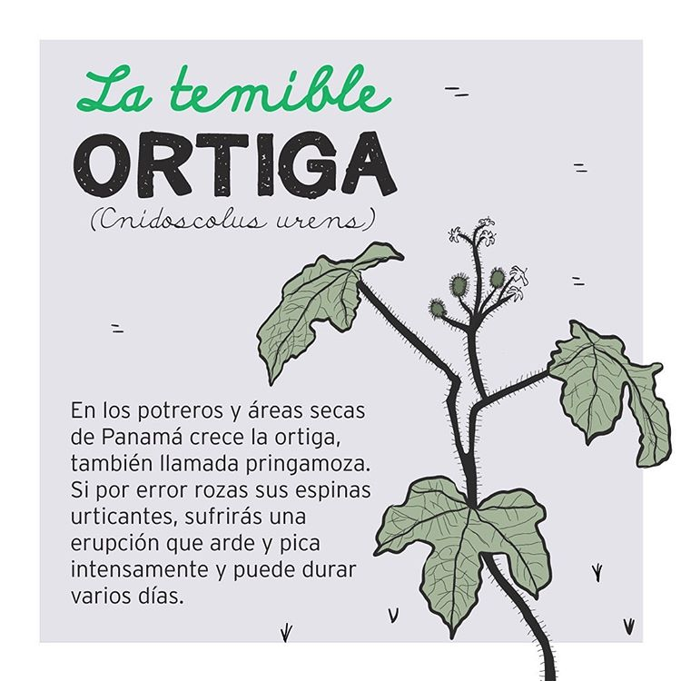 Ortiga_BDC