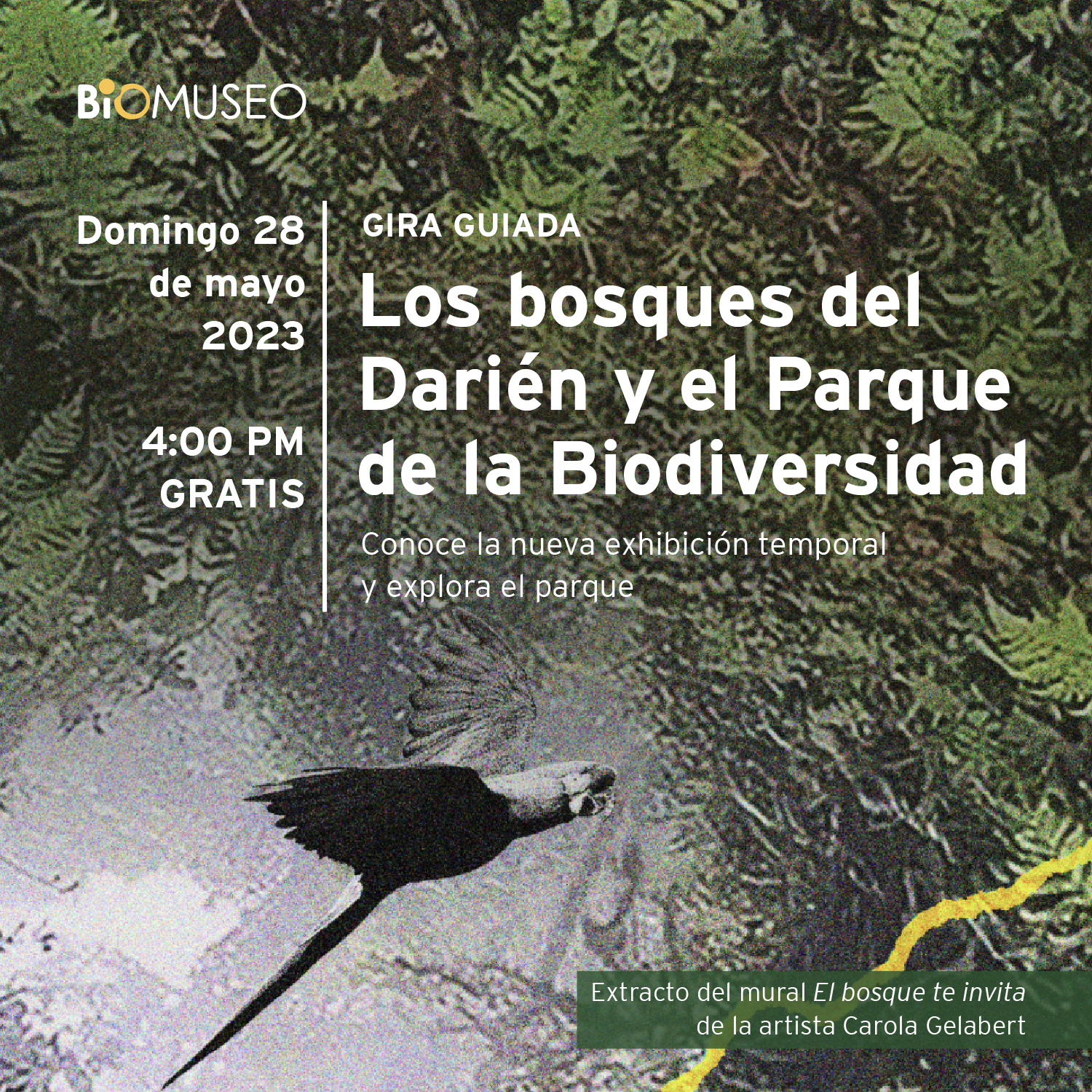 Gira guiada: Los bosques del Darién y el Parque de la Biodiversidad