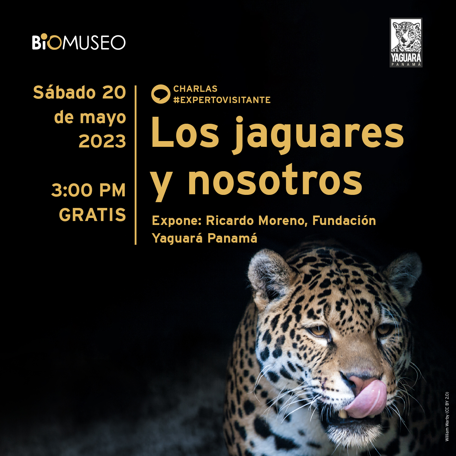 Experto visitante: Los jaguares y nosotros