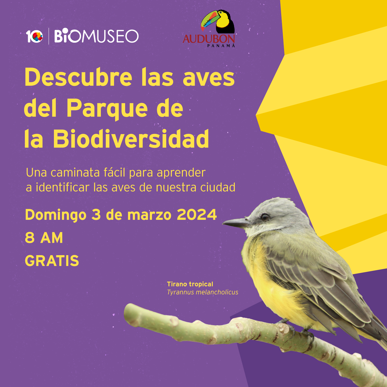Descubre las aves del Parque de la Biodiversidad