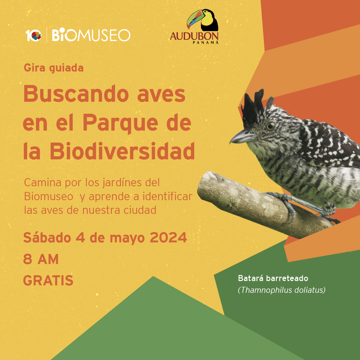 Gira guiada: Buscando aves en el Parque de la Biodiversidad